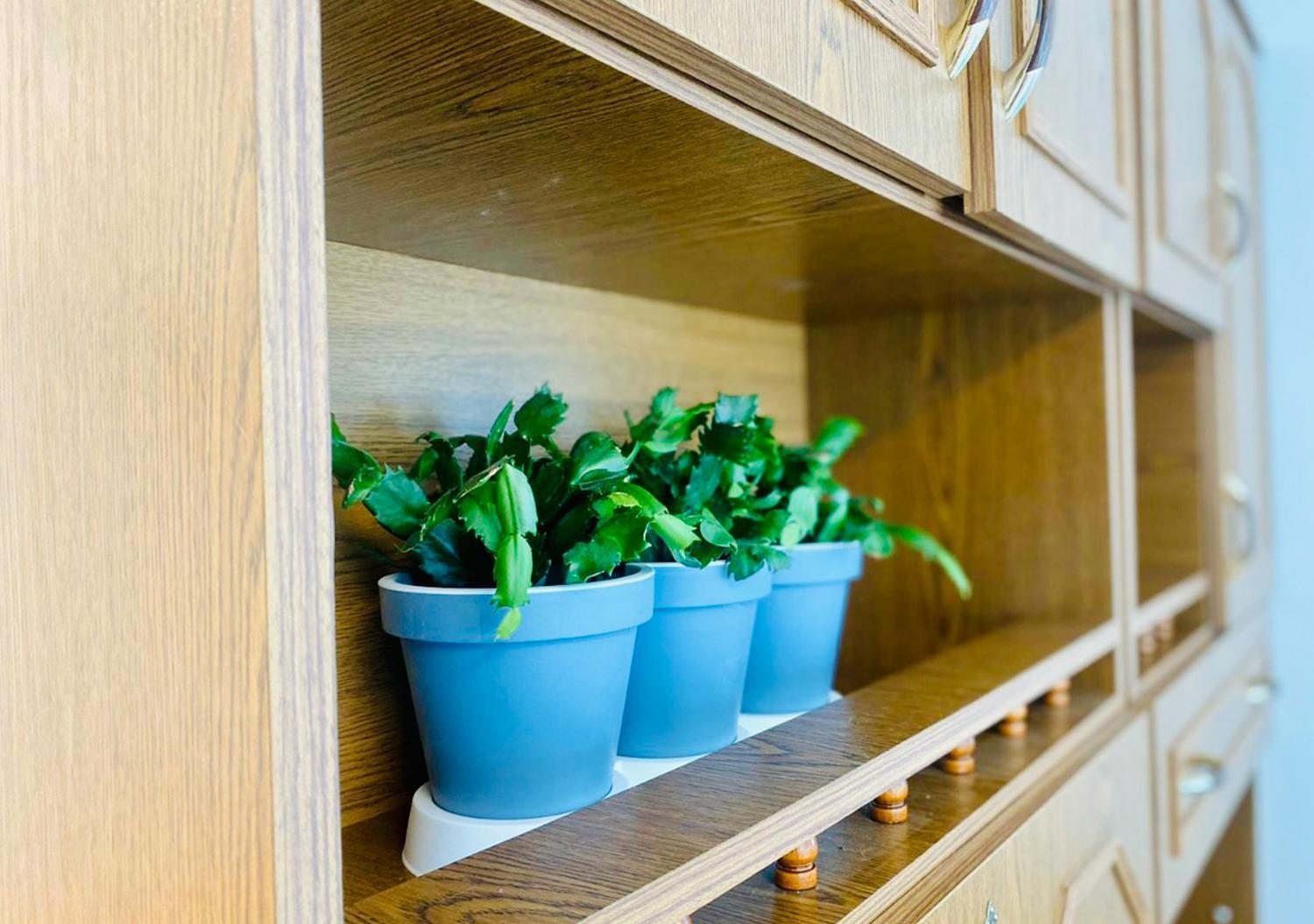 Green Studio Praha 2 L Ground Floor Free Parking 외부 사진