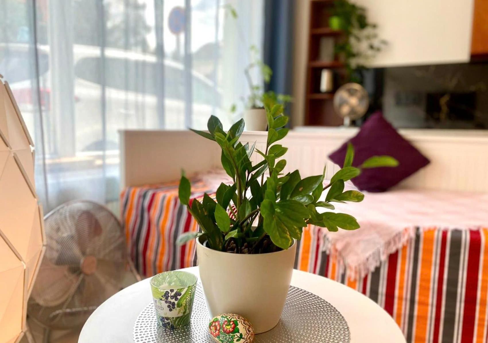 Green Studio Praha 2 L Ground Floor Free Parking 외부 사진
